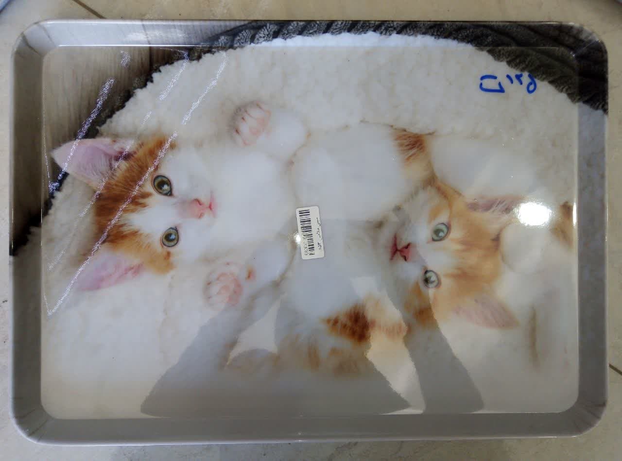 سینی ملامین سایز بزرگ در طرح ها مختلف